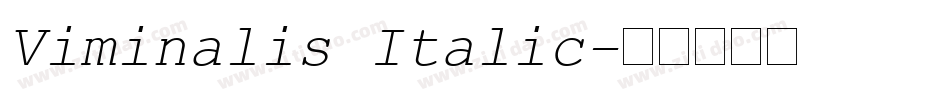 Viminalis Italic字体转换